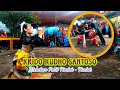 Download Lagu MENDEM PUTRI TIMLUK - TIMLUK..!! JARANAN KRIDO KUDHO SANTOSO - DESA GIRIREJO