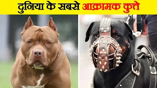 दुनिया के सबसे खतरनाक कुत्ते | Most Dangerous Dogs in the World