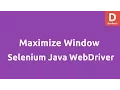 Maximize Browser Windows using Selenium Java