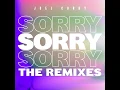 Sorry (Darkzy & Bru-C Remix)