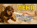 Download Lagu Лёня с мамой делит вещи