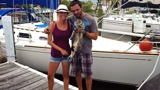 How We Left To Go Cruising at 30 & What We Left Behind (MJ Sailing – EP 7)