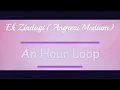 Ek Zindagi [AN HOUR LOOP]| Angrezi Medium | English Transl. in description | Tanishkaa, Sachin-Jigar