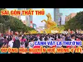 Lagu SÀI GÒN TRUNG TÂM THẤT THỦ RỒI ĐÔNG ĐEN CHEN CHÂN ĐƯỜNG HOA NGUYỄN HUỆ 2026