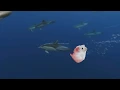 Shooting stars meme- mouse