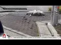 Download Lagu CNA Explains: What is the risk of a Nankai Trough megaquake in Japan?