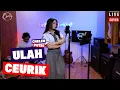 Download Lagu ULAH CEURIK - CHELEN PUTRI | LIVE COVER BAJIDOR
