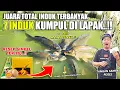 Lagu RACIKAN UMPAN SIMPEL MENGGILA !! 7 EKOR INDUK MAKAN TELAK !! JUARA TOTAL INDUK TERBANYAK ❗❗