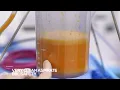 What is BBL Safety and why is it so important Dr Rahal Discusses Aspiration During His Procedure