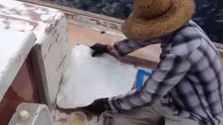 Atticus Update 9: Fiberglassing the deck repair