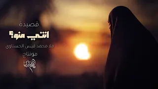 عزي ودلالي وبيض اليالي كامله محمد قيس الحسناوي انتي منو جديد 2026  عزي ودلالي وبيض اليالي كامله محمد قيس الحسناوي انتي منو جديد 2026
