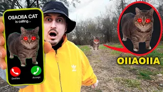 oiiaoiia cat is calling nikpig spinning cat meme remix 2025 comedy parody 