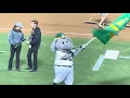 Oakland Coliseum Walk-Through - 2024 Athletics Last Season