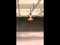 Tannerite Valentine s Shoot