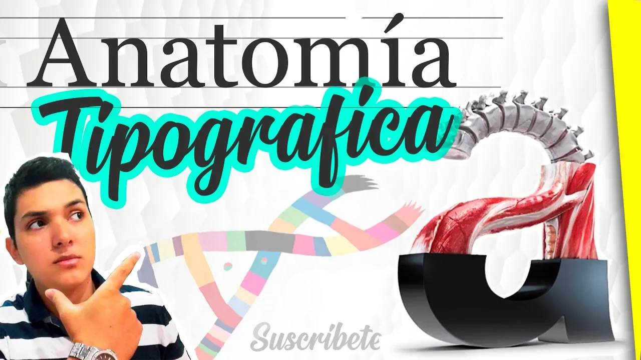 🔴 ¿Qué es la ANATOMÍA TIPOGRÁFICA? 【 Concepto, Partes y Términos 】🚩