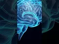 Download Lagu You Spend 6 Years Dreaming! The Science \u0026 Mystery of Your Brain's Nightly Journeys 🧠