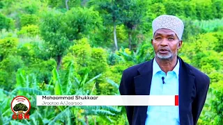 Lagamite1 Bareeda Uumamaa Kan Laga Mixee Aanaa Jaarsoo Harargee Bahaa 