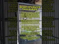 Download Lagu Berapa lama burung kacer mabung ?