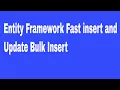 EntityFramework Fast insert and update Bulk Insert
