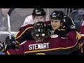 Chicago Wolves-Pat Dwyer Highlight