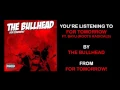 Download Lagu THE BULLHEAD - FOR TOMORROW