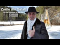 Download Lagu Zorile din Galati - De ce Doamne nu ma lasi #17