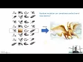 Intro to Genetic Algorithm with Container Optimization demo