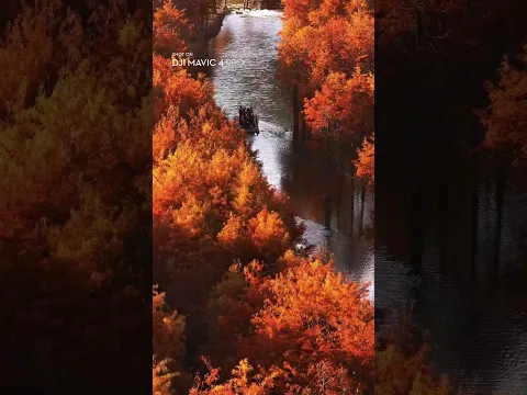 Fall Looks Unreal From Up Here | DJI Mavic 4 Pro