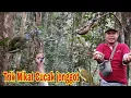 Download Lagu Pikat Cucak jenggot hanya modal Mp3 saja lansung poin...
