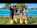 Download Lagu Mitică și Afacerea cu Harbuji #3chestii