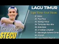 Download Lagu FARIS ADAM - STECU | JUAN REZA - PICA PICA | NYONG TIMUR || LAGU POP TIMUR VIRAL TIKTOK 2025