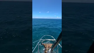 Explore Uncharted Territories #sailinglife