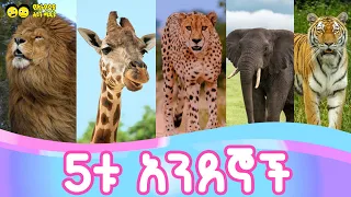 5ቱ አንደኞች በልጆች የሚወደድ የኢትዮጵያ ልጆች መዝሙር ነው The Five Ones Ye Ethiopia Lijoch Song የኢትዮጵያ ልጆች መዝሙር 