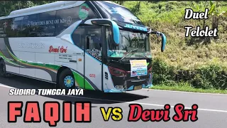 Download Adu Telolet Bus Stj Faqih Dan Bus Dewi Sri DiKelok 8 MP3