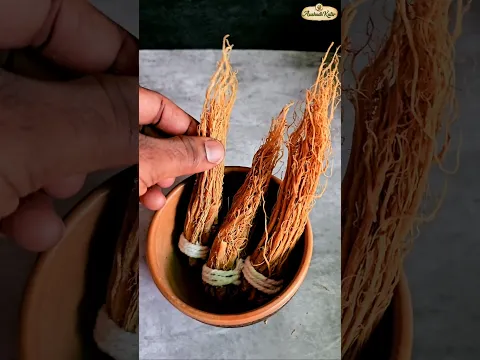 दुनिया की सबसे ताकतवर औषधियां है ये तो, नसों में झनझनाहट, सुन्न होना, शरीर में टूटन सी  खत्म होती