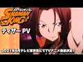 Video di TVアニメ『SHAMAN KING』ティザーPV