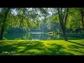 Download Lagu Mooie ontspannende muziek voor stressverlichting - Ontspannende muziek voor spirituele genezing