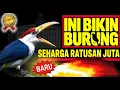 Download Lagu Ini Dia  ‼️  Masteran Burung Gacor Full Isian Super Mewah  Buat Murai Batu Kacer Cucak Ijo Cendet 🐦