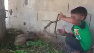 بدك بوظة   اجيبلك   دندنها