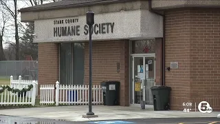 Concerns grow in Stark County over dogs mistakenly reunited with wrong owners