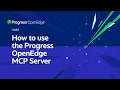 Progress OpenEdge MCP Server How-To Guide