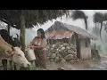 Download Lagu Very Dangerous Rainfall Day in Nepali Mountain Village | Heavy Rainy Day in Nepal