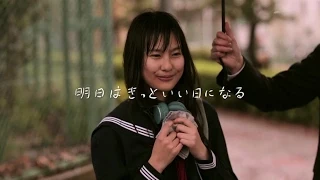 高橋優 - 明日はきっといい日になる