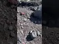 Download Lagu Moraine at the snout of the Svinafellsjökull Glacier, Iceland - the view at the end!