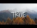 TRUE - Ten Towers (Lyrics)