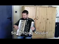 Download Lagu Something Stupid accordion - Akkordeon