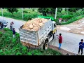 Download Lagu NICELY Start Project LANDFILL BY Expert Driver 5T Trucks Unloading Soil with Dozer KOMATSU Pushing
