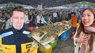探访中国最极端的市场：鳄鱼、眼镜蛇与前所未见的食材