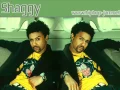 Download Lagu Shaggy - Why Me Lord !
