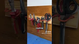 Https Vt Tiktok Com ZSSyyNxDF 